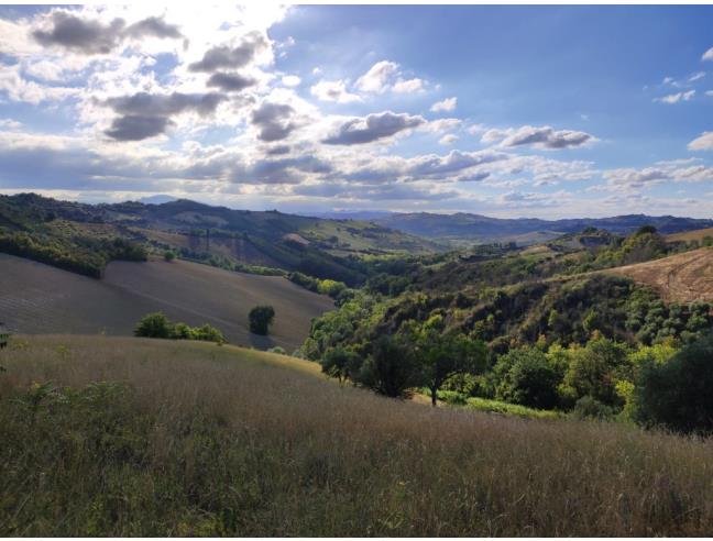 Anteprima foto 5 - Terreno Agricolo/Coltura in Vendita a Ripatransone - San Savino
