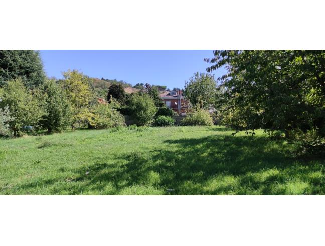 Anteprima foto 3 - Terreno Agricolo/Coltura in Vendita a Rocca Priora (Roma)