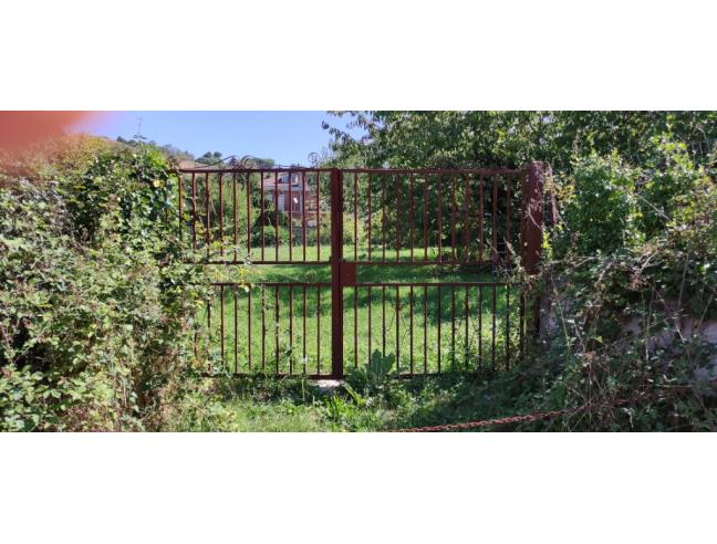 Anteprima foto 4 - Terreno Agricolo/Coltura in Vendita a Rocca Priora (Roma)