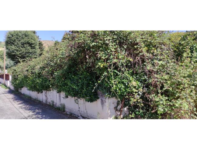 Anteprima foto 5 - Terreno Agricolo/Coltura in Vendita a Rocca Priora (Roma)