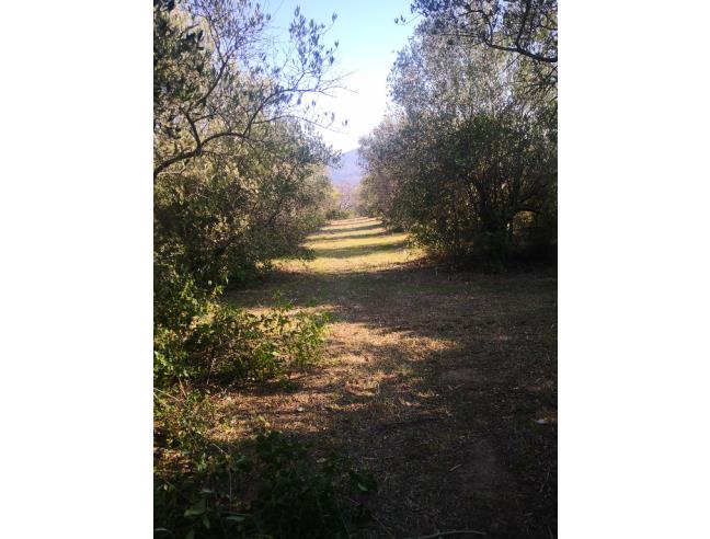 Anteprima foto 4 - Terreno Agricolo/Coltura in Vendita a Roccastrada - Montemassi