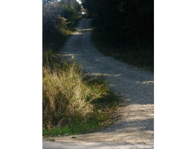 Anteprima foto 5 - Terreno Agricolo/Coltura in Vendita a Roccastrada - Montemassi