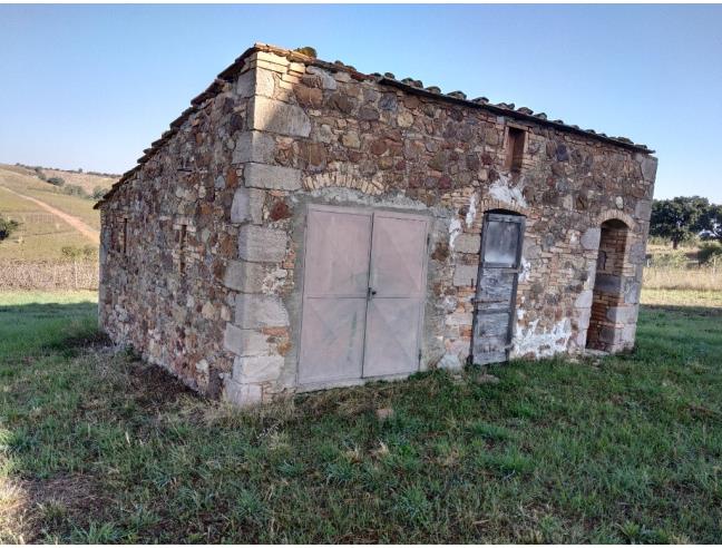 Anteprima foto 4 - Terreno Agricolo/Coltura in Vendita a Roccastrada - Ribolla