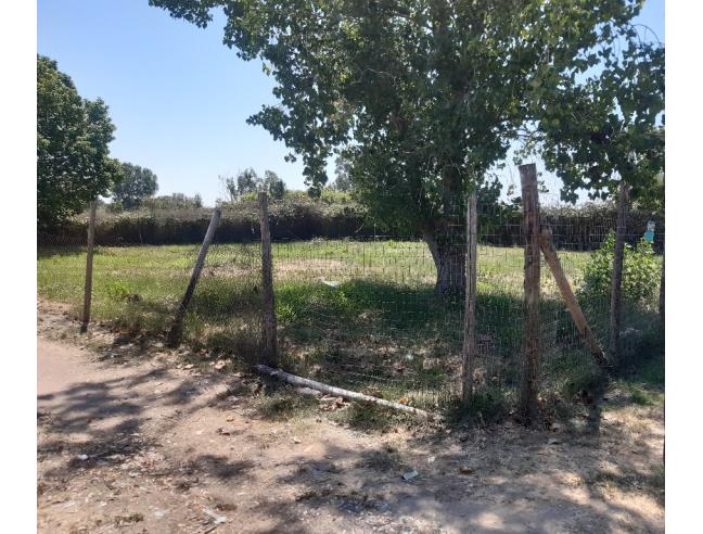 Anteprima foto 1 - Terreno Agricolo/Coltura in Vendita a Roma - Casalpalocco