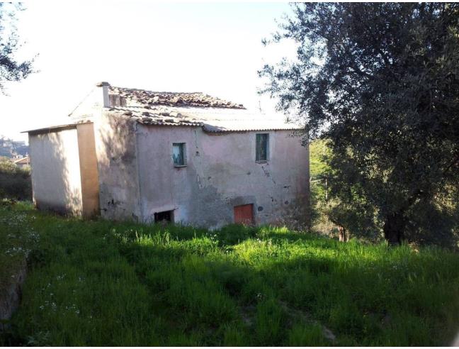 Anteprima foto 1 - Terreno Agricolo/Coltura in Vendita a Rossano - Santa Maria Delle Grazie