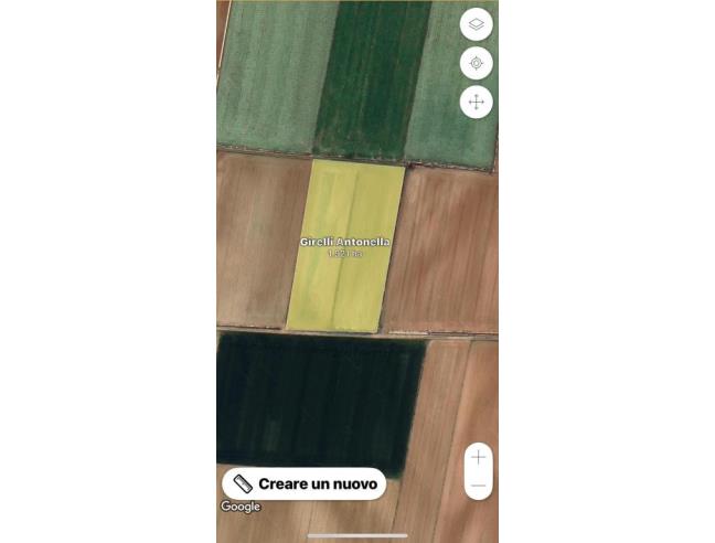 Anteprima foto 2 - Terreno Agricolo/Coltura in Vendita a Roverbella - Malavicina