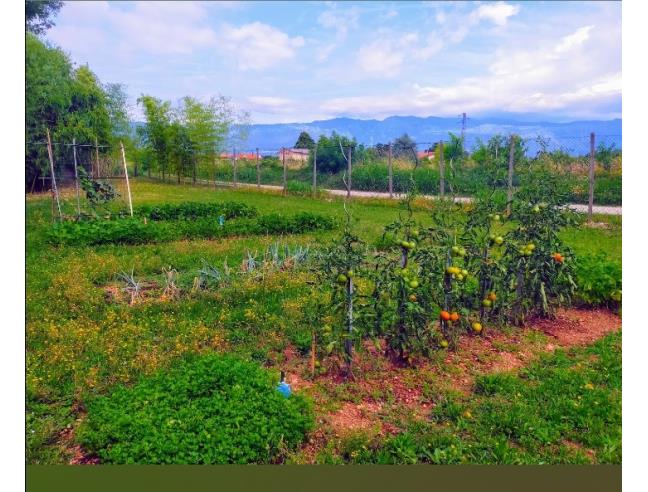 Anteprima foto 4 - Terreno Agricolo/Coltura in Vendita a Roveredo in Piano (Pordenone)