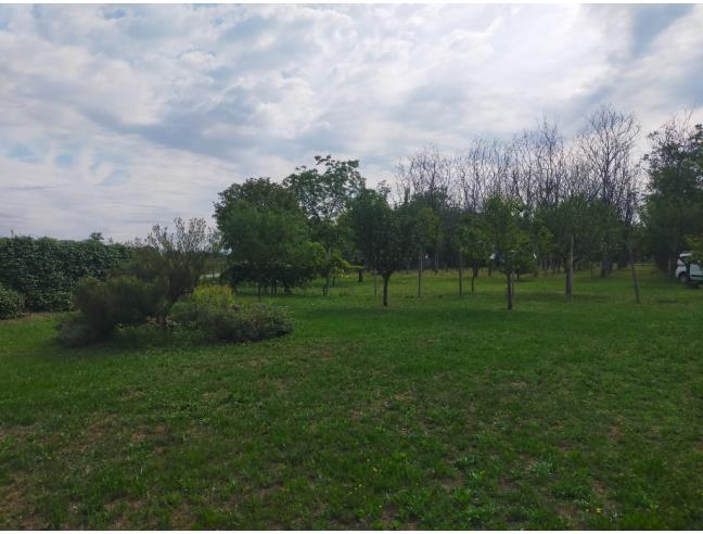 Anteprima foto 5 - Terreno Agricolo/Coltura in Vendita a Roveredo in Piano (Pordenone)