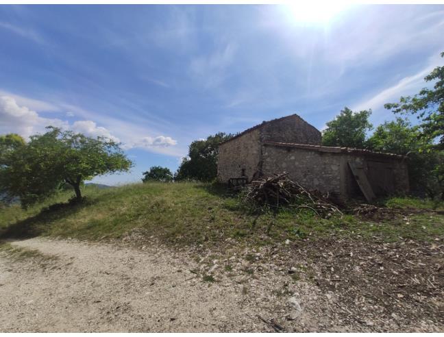 Anteprima foto 1 - Terreno Agricolo/Coltura in Vendita a Salisano (Rieti)