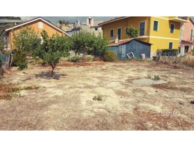 Anteprima foto 2 - Terreno Agricolo/Coltura in Vendita a San Bartolomeo al Mare (Imperia)