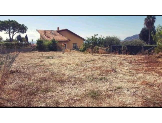 Anteprima foto 3 - Terreno Agricolo/Coltura in Vendita a San Bartolomeo al Mare (Imperia)