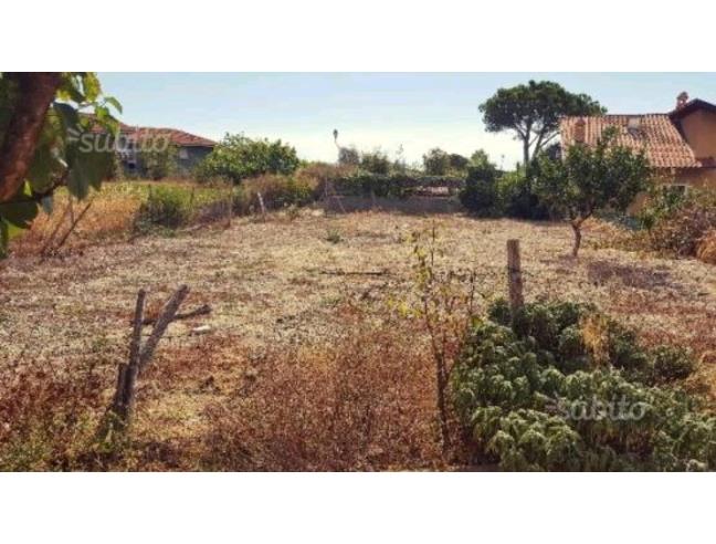 Anteprima foto 4 - Terreno Agricolo/Coltura in Vendita a San Bartolomeo al Mare (Imperia)