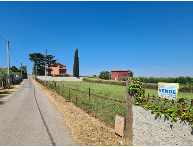 Anteprima foto 2 - Terreno Agricolo/Coltura in Vendita a San Cesareo (Roma)