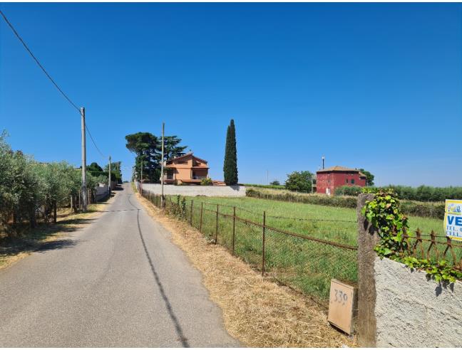 Anteprima foto 3 - Terreno Agricolo/Coltura in Vendita a San Cesareo (Roma)