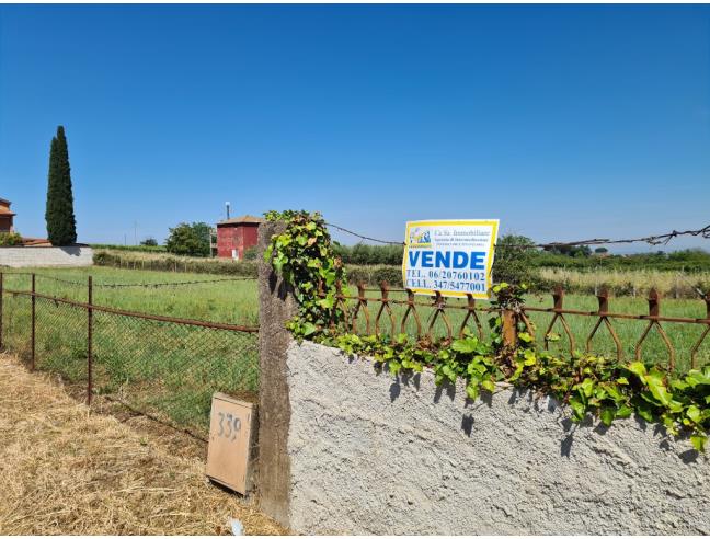 Anteprima foto 4 - Terreno Agricolo/Coltura in Vendita a San Cesareo (Roma)