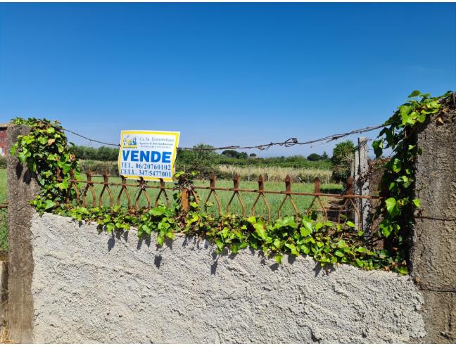 Anteprima foto 5 - Terreno Agricolo/Coltura in Vendita a San Cesareo (Roma)
