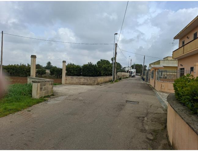 Anteprima foto 3 - Terreno Agricolo/Coltura in Vendita a San Cesario di Lecce (Lecce)