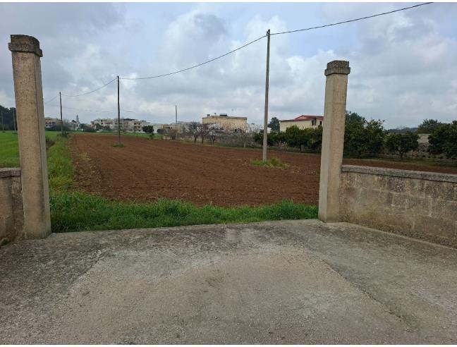Anteprima foto 4 - Terreno Agricolo/Coltura in Vendita a San Cesario di Lecce (Lecce)