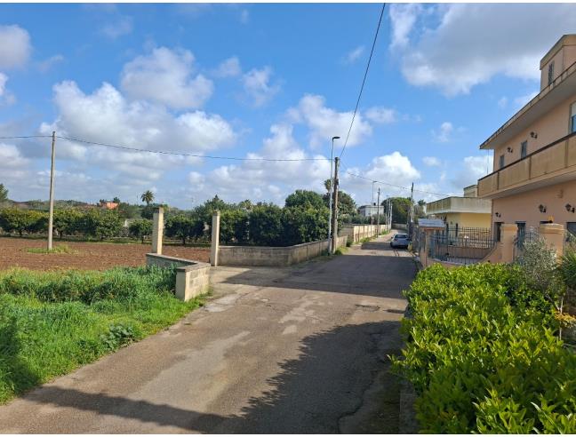 Anteprima foto 6 - Terreno Agricolo/Coltura in Vendita a San Cesario di Lecce (Lecce)