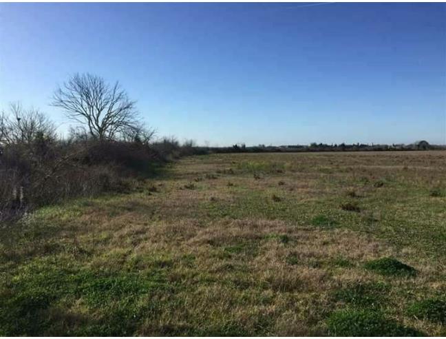Anteprima foto 2 - Terreno Agricolo/Coltura in Vendita a San Donato di Lecce (Lecce)