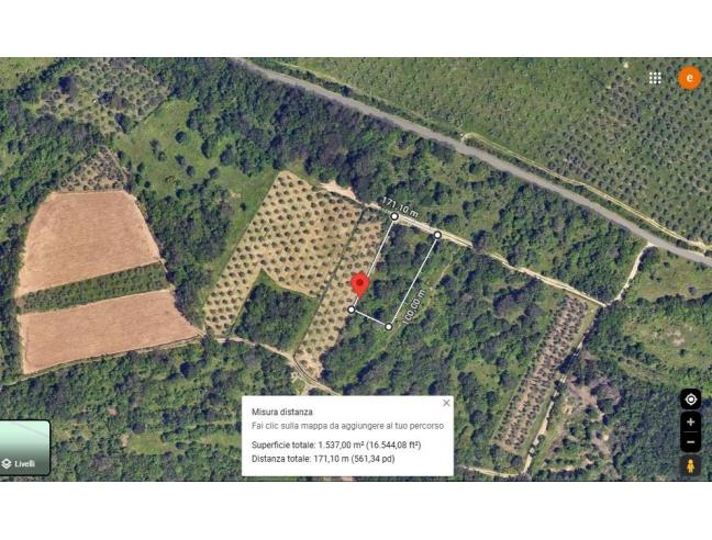 Anteprima foto 3 - Terreno Agricolo/Coltura in Vendita a San Dorligo della Valle - Dolina - Caresana