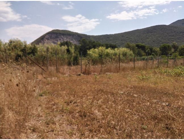 Anteprima foto 1 - Terreno Agricolo/Coltura in Vendita a San Felice Circeo (Latina)