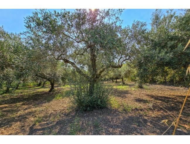 Anteprima foto 2 - Terreno Agricolo/Coltura in Vendita a San Filippo del Mela (Messina)