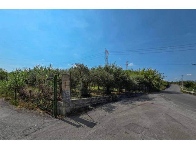 Anteprima foto 3 - Terreno Agricolo/Coltura in Vendita a San Filippo del Mela (Messina)