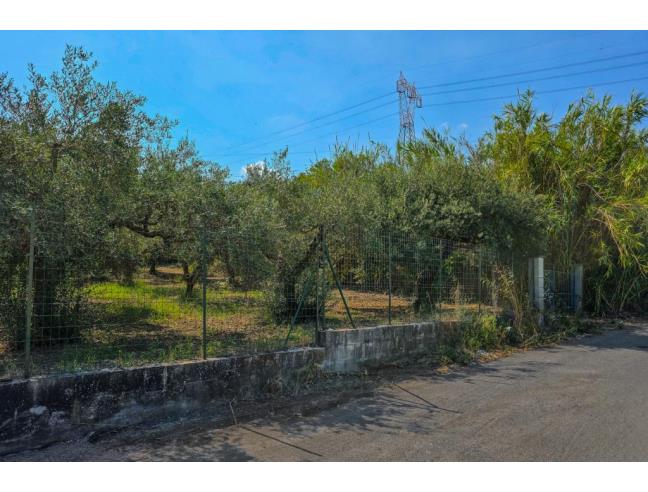 Anteprima foto 4 - Terreno Agricolo/Coltura in Vendita a San Filippo del Mela (Messina)