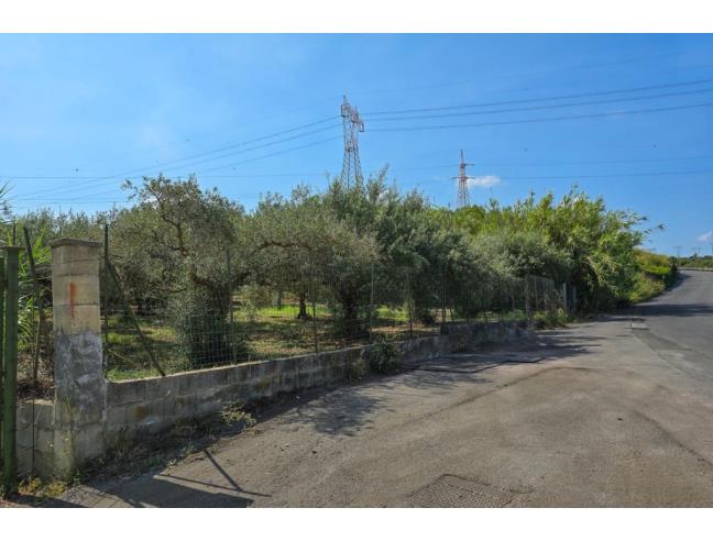 Anteprima foto 6 - Terreno Agricolo/Coltura in Vendita a San Filippo del Mela (Messina)