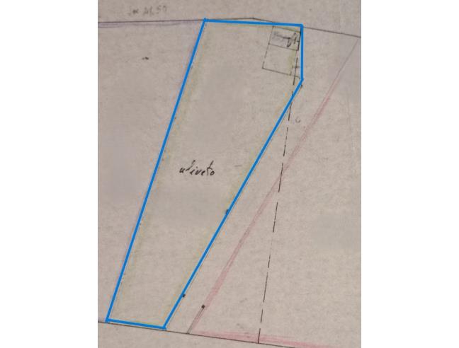 Anteprima foto 2 - Terreno Agricolo/Coltura in Vendita a San Fratello (Messina)