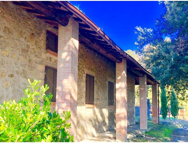 Anteprima foto 2 - Terreno Agricolo/Coltura in Vendita a San Gimignano - Castel San Gimignano