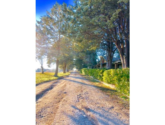 Anteprima foto 4 - Terreno Agricolo/Coltura in Vendita a San Gimignano - Castel San Gimignano