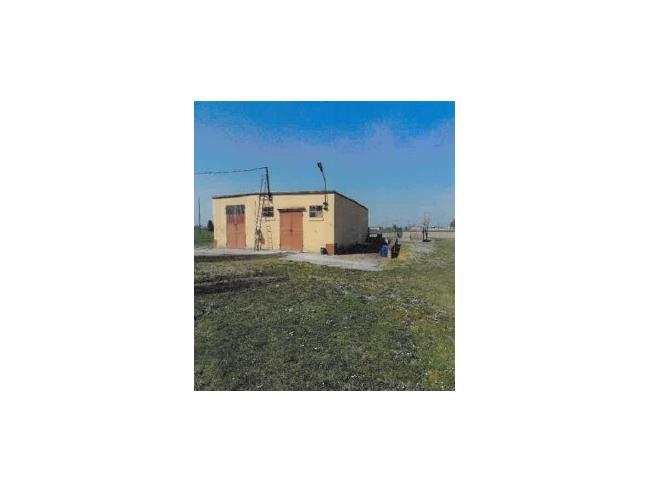 Anteprima foto 7 - Terreno Agricolo/Coltura in Vendita a San Giorgio di Piano (Bologna)