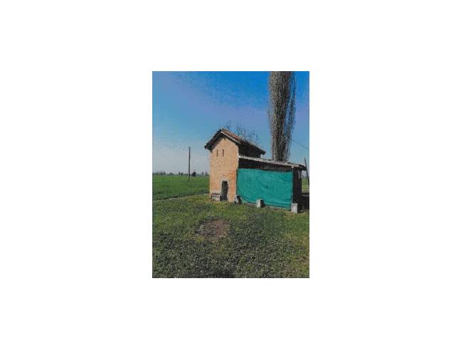 Anteprima foto 8 - Terreno Agricolo/Coltura in Vendita a San Giorgio di Piano (Bologna)