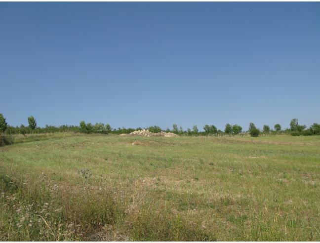 Anteprima foto 4 - Terreno Agricolo/Coltura in Vendita a San Giuliano del Sannio (Campobasso)