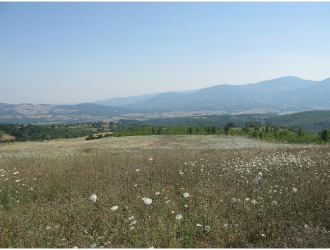 Anteprima foto 5 - Terreno Agricolo/Coltura in Vendita a San Giuliano del Sannio (Campobasso)