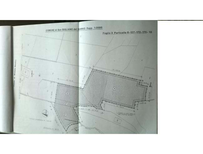 Anteprima foto 7 - Terreno Agricolo/Coltura in Vendita a San Giuliano del Sannio (Campobasso)