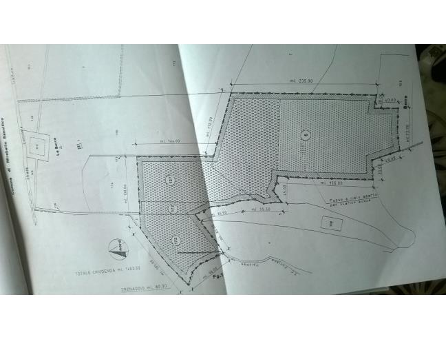 Anteprima foto 8 - Terreno Agricolo/Coltura in Vendita a San Giuliano del Sannio (Campobasso)