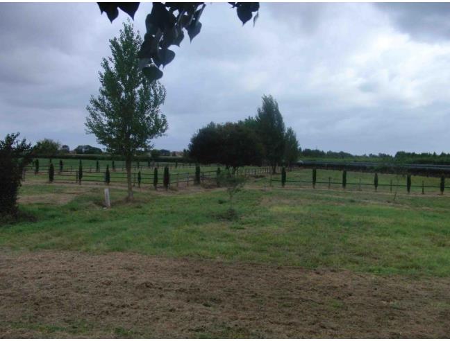 Anteprima foto 1 - Terreno Agricolo/Coltura in Vendita a San Giuliano Terme - Arena Metato