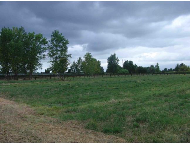 Anteprima foto 4 - Terreno Agricolo/Coltura in Vendita a San Giuliano Terme - Arena Metato