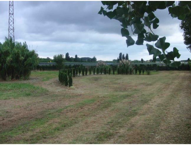 Anteprima foto 5 - Terreno Agricolo/Coltura in Vendita a San Giuliano Terme - Arena Metato