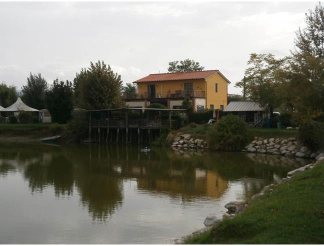 Anteprima foto 6 - Terreno Agricolo/Coltura in Vendita a San Giuliano Terme - Arena Metato