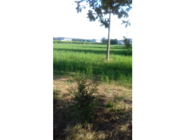Anteprima foto 1 - Terreno Agricolo/Coltura in Vendita a San Martino in Rio - Molino Di Gazzata