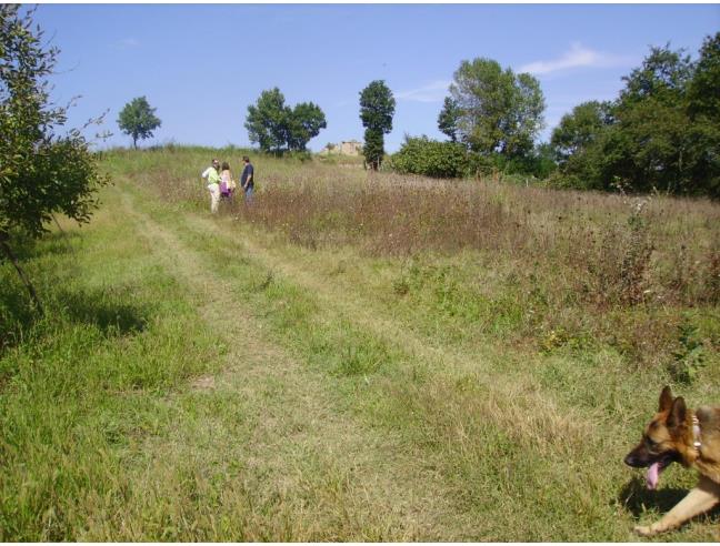 Anteprima foto 1 - Terreno Agricolo/Coltura in Vendita a San Martino Valle Caudina (Avellino)