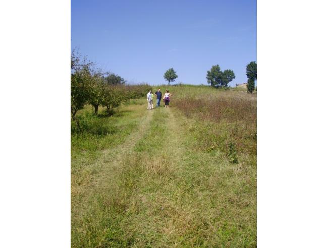 Anteprima foto 3 - Terreno Agricolo/Coltura in Vendita a San Martino Valle Caudina (Avellino)