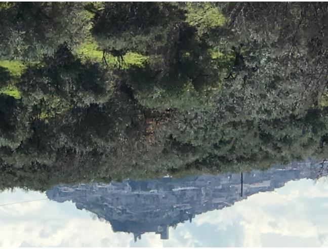 Anteprima foto 2 - Terreno Agricolo/Coltura in Vendita a San Polo dei Cavalieri (Roma)