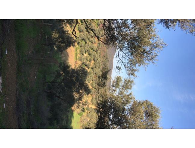 Anteprima foto 3 - Terreno Agricolo/Coltura in Vendita a San Polo dei Cavalieri (Roma)