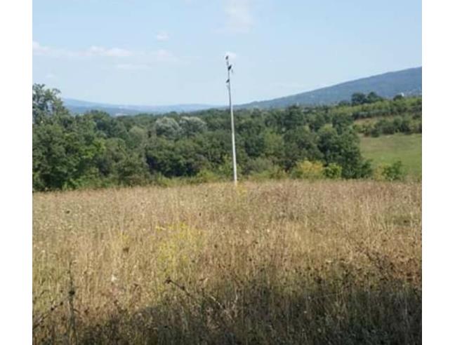 Anteprima foto 1 - Terreno Agricolo/Coltura in Vendita a San Polo Matese (Campobasso)