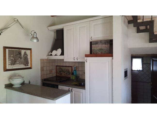 Anteprima foto 4 - Terreno Agricolo/Coltura in Vendita a San Quirico d'Orcia (Siena)